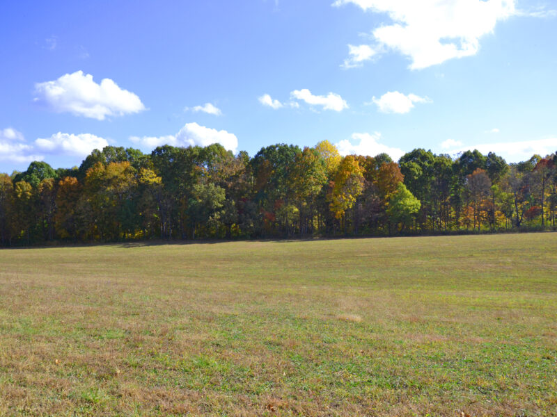 6.18 Residential Acres in City of Sweetwater w/ 2,400 sf Metal Warehouse Building