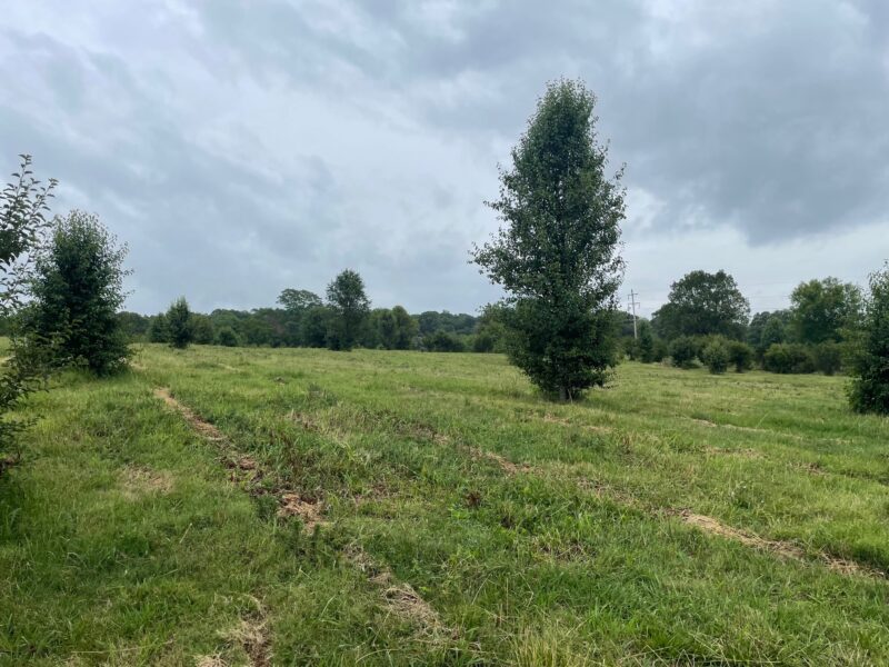 FOR SALE: 41 ACRES MINUTES FROM DOWNTOWN JEFFERSON CITY