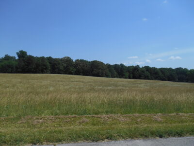 SOLD: 20.75 Acres on Fork Creek Road & Steekee Creek Road in Loudon