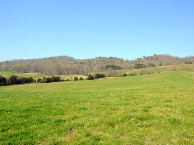 SOLD: 197 Acres with Mountain Views in Blaine, TN