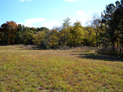SOLD: 3.2 Residential Acres in City of Sweetwater w/ All Utilities