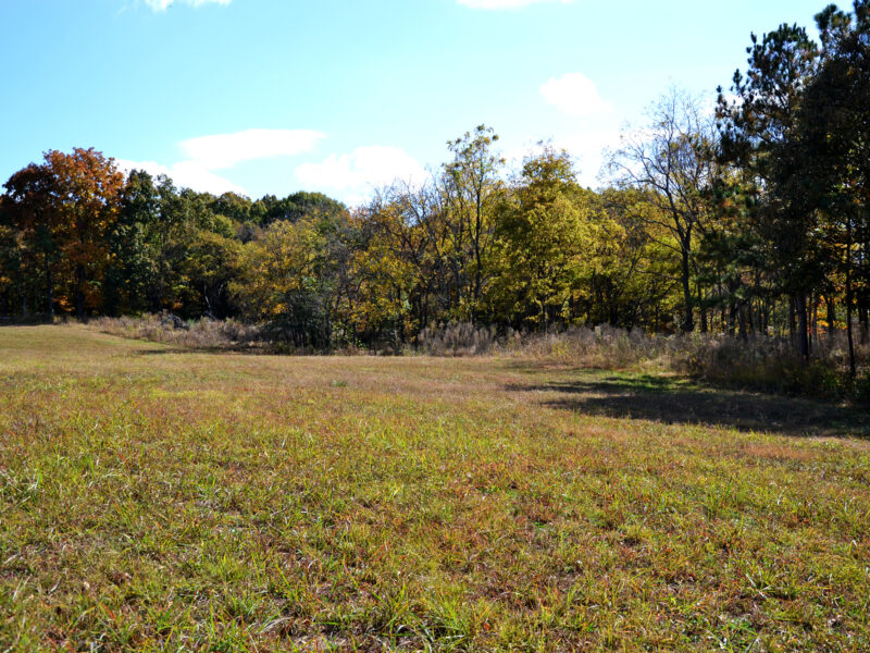 SOLD: 3.2 Residential Acres in City of Sweetwater w/ All Utilities