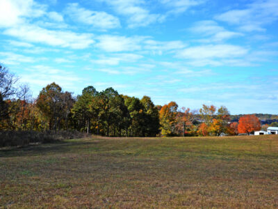 3.2 Residential Acres in City of Sweetwater w/ All Utilities