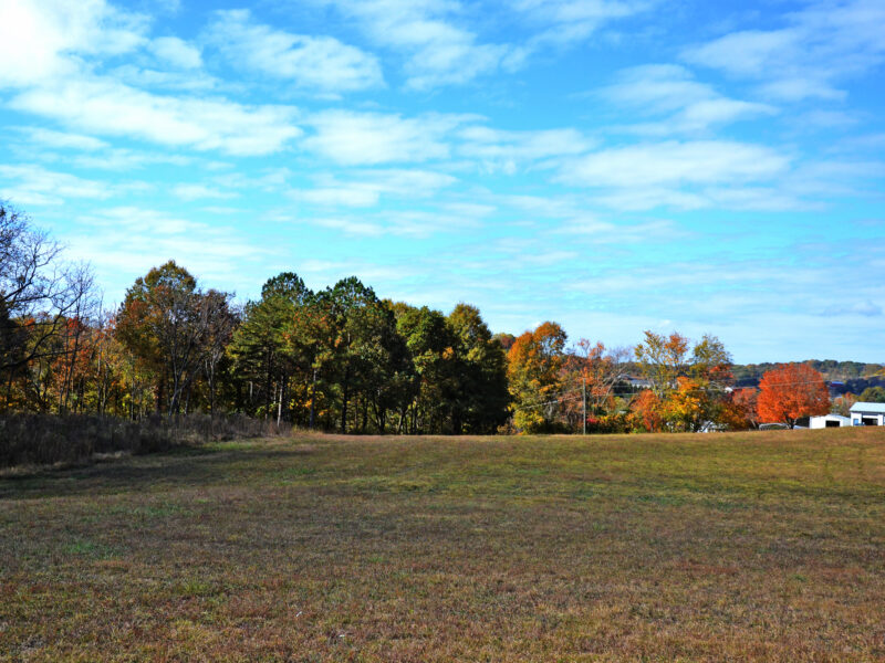 3.2 Residential Acres in City of Sweetwater w/ All Utilities