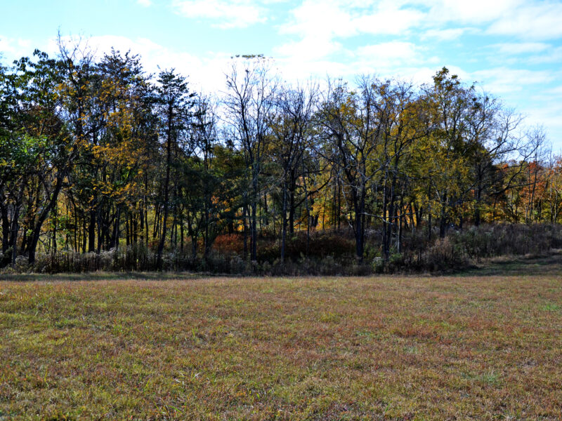 3.2 Residential Acres in City of Sweetwater w/ All Utilities
