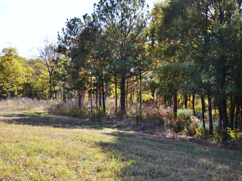 SOLD: 3.2 Residential Acres in City of Sweetwater w/ All Utilities
