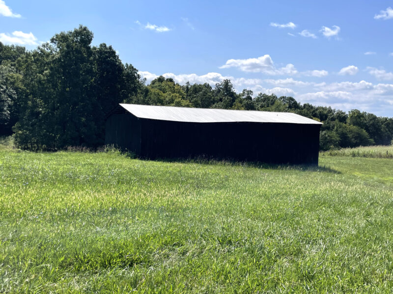 202 Gorgeous, Mostly Cleared Acres on I-81 in Mosheim