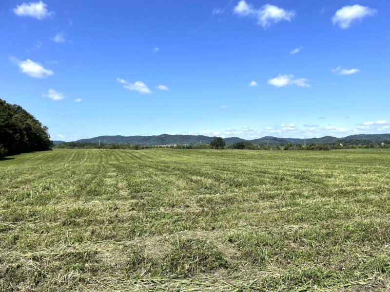 202 Gorgeous, Mostly Cleared Acres on I-81 in Mosheim