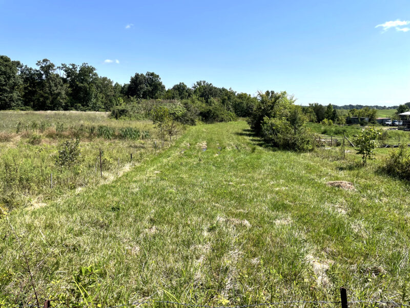 202 Gorgeous, Mostly Cleared Acres on I-81 in Mosheim