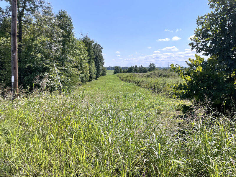 202 Gorgeous, Mostly Cleared Acres on I-81 in Mosheim