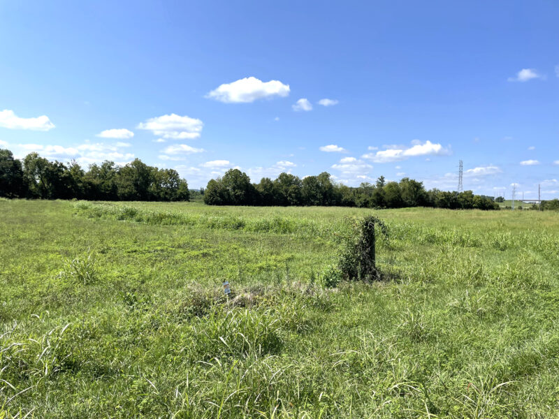 202 Gorgeous, Mostly Cleared Acres on I-81 in Mosheim