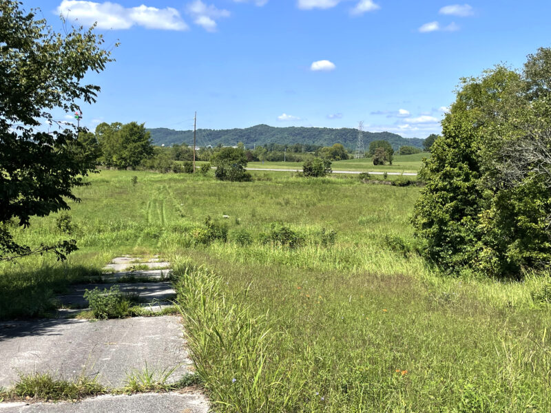 202 Gorgeous, Mostly Cleared Acres on I-81 in Mosheim