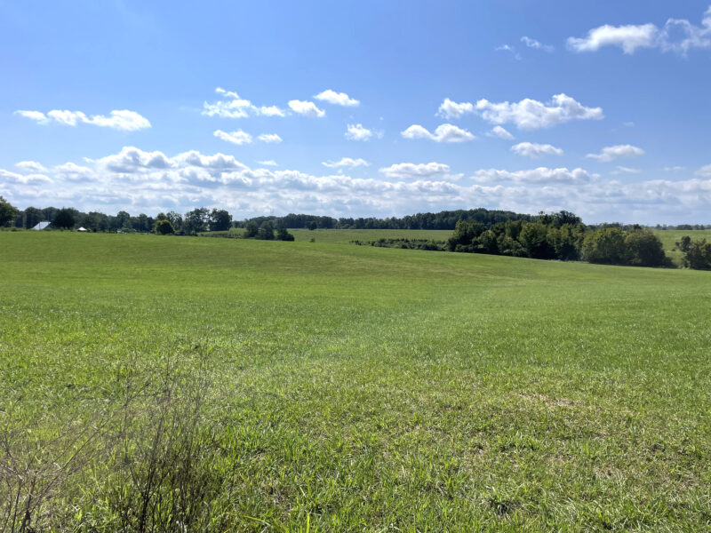 202 Gorgeous, Mostly Cleared Acres on I-81 in Mosheim