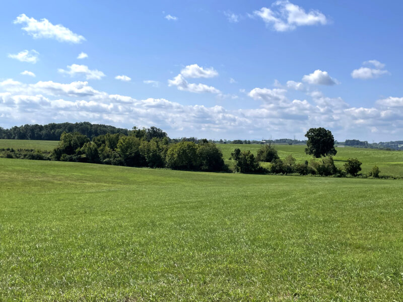 202 Gorgeous, Mostly Cleared Acres on I-81 in Mosheim