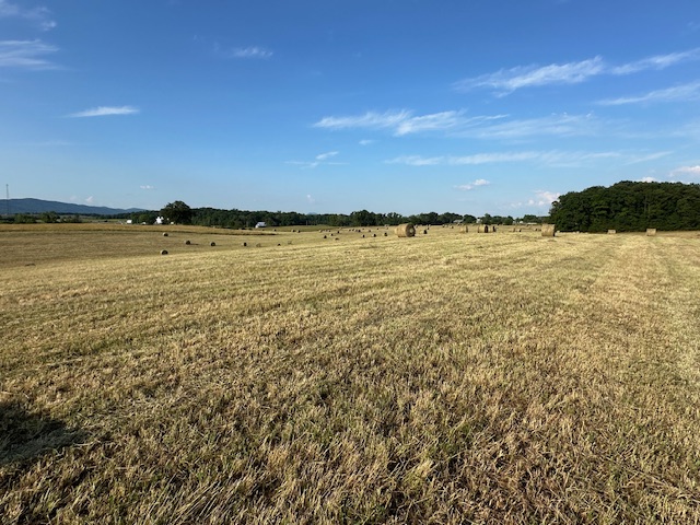 202 Gorgeous, Mostly Cleared Acres on I-81 in Mosheim