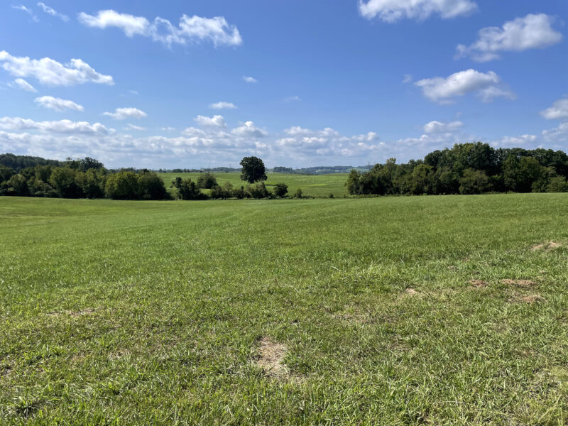 202 Gorgeous, Mostly Cleared Acres on I-81 in Mosheim