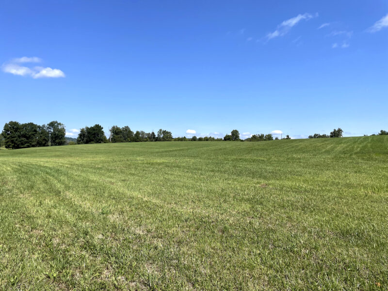 202 Gorgeous, Mostly Cleared Acres on I-81 in Mosheim