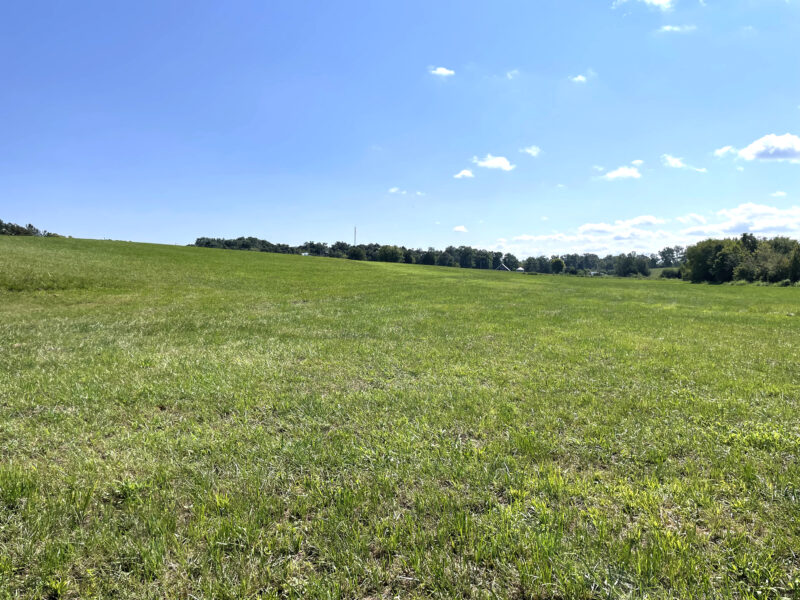 202 Gorgeous, Mostly Cleared Acres on I-81 in Mosheim