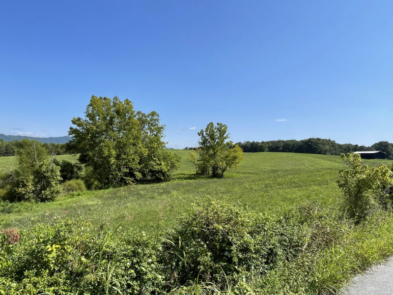 202 Gorgeous, Mostly Cleared Acres on I-81 in Mosheim