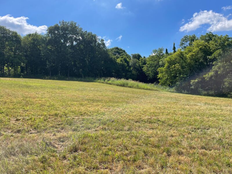SOLD: 1.6 Residential Acres in City of Sweetwater w/ All Utilities