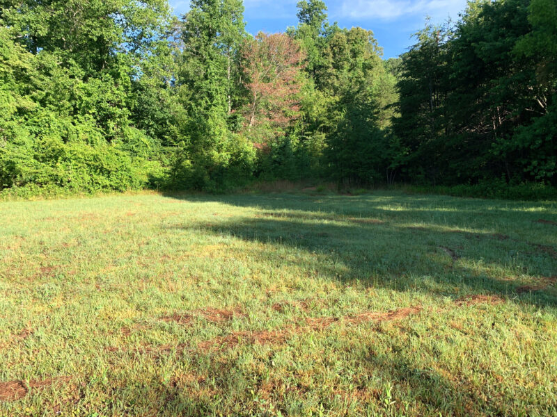 Excellent Development Tract in Clinton – 85 Acres