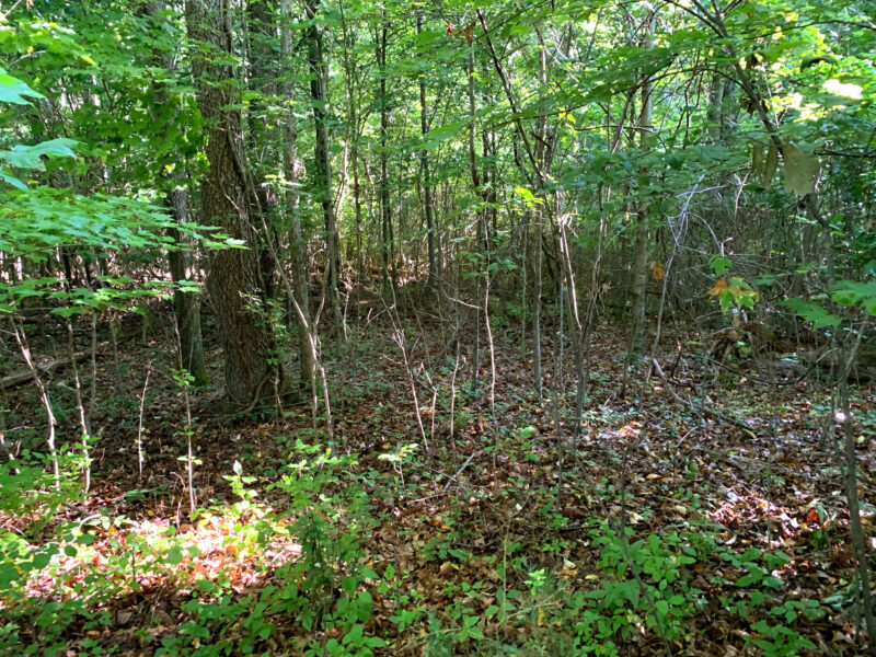 Excellent Development Tract in Clinton – 85 Acres