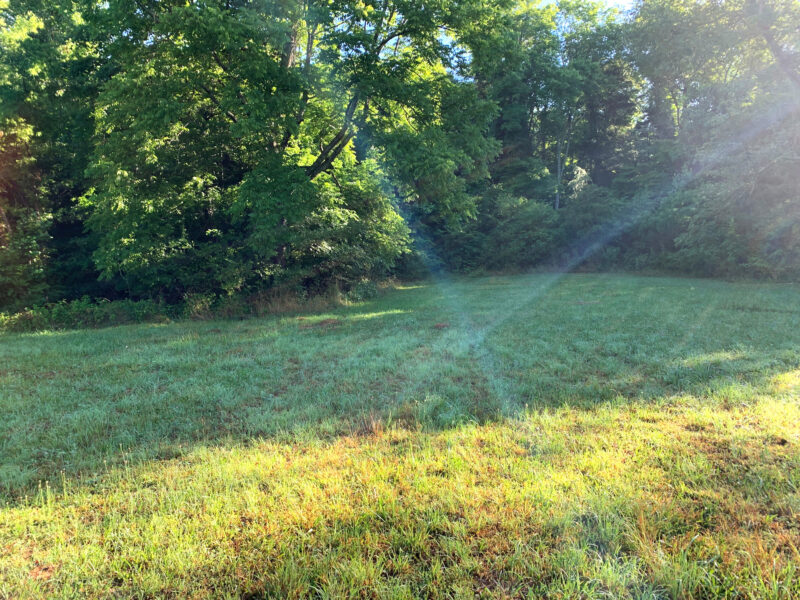 Excellent Development Tract in Clinton – 85 Acres