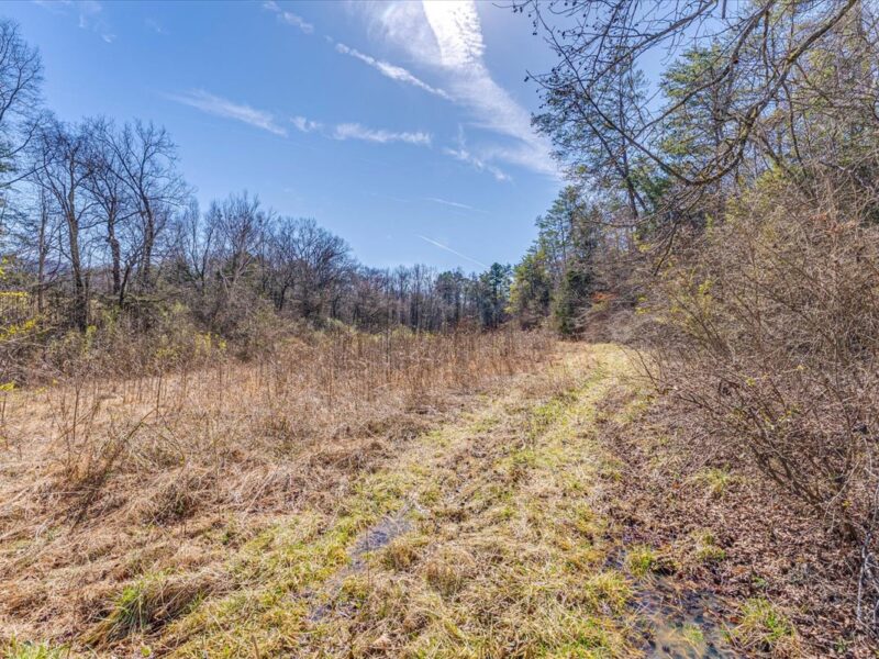 SOLD: Beautiful 34.5 Acres in Walland with Creek Access