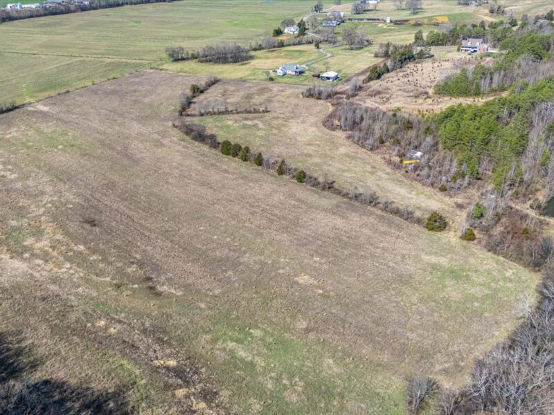 SOLD: Beautiful 34.5 Acres in Walland with Creek Access