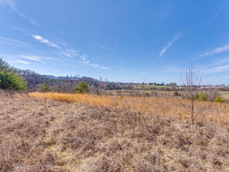 SOLD: Beautiful 34.5 Acres in Walland with Creek Access