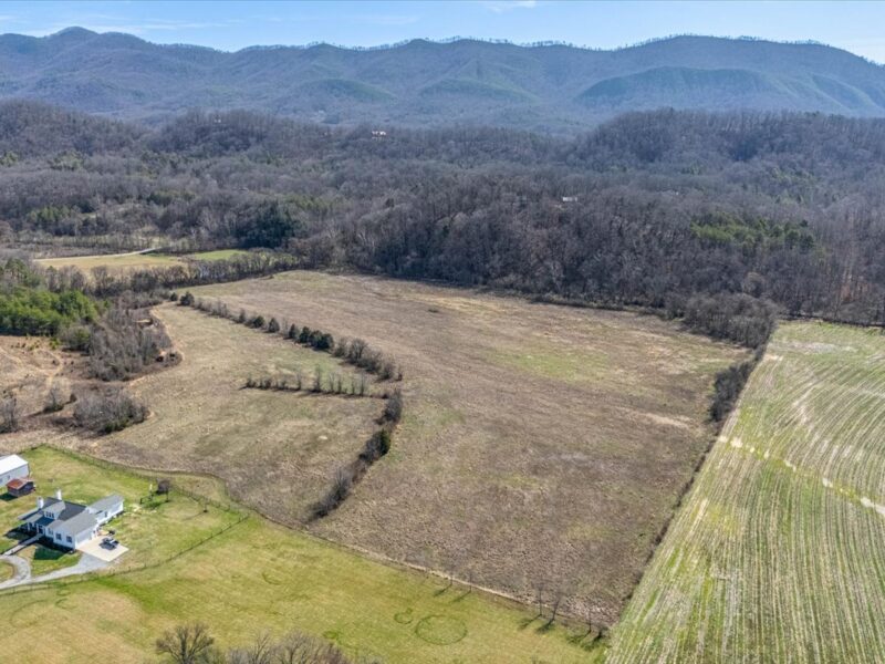 SOLD: Beautiful 34.5 Acres in Walland with Creek Access