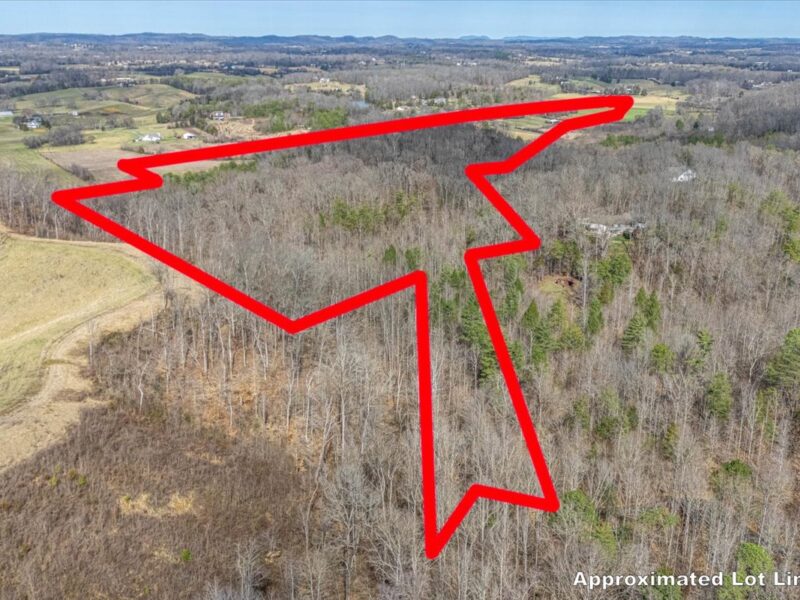 SOLD: 19.5 Acres Ideal for Custom Home in Ellejoy Crossing in Walland