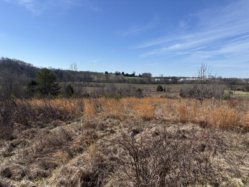 SOLD: Gorgeous 8.6 Acres for Custom Home in Walland