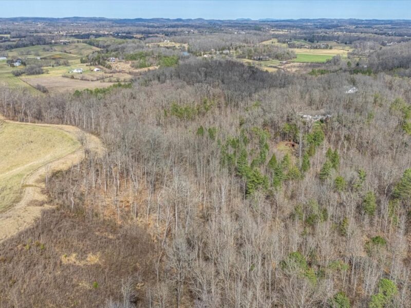 SOLD: 19.5 Acres Ideal for Custom Home in Ellejoy Crossing in Walland