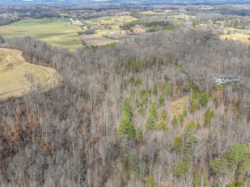 SOLD: 19.5 Acres Ideal for Custom Home in Ellejoy Crossing in Walland