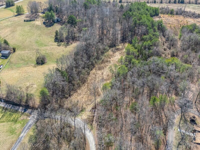 SOLD: Beautiful 34.5 Acres in Walland with Creek Access