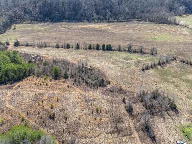 SOLD: Beautiful 34.5 Acres in Walland with Creek Access