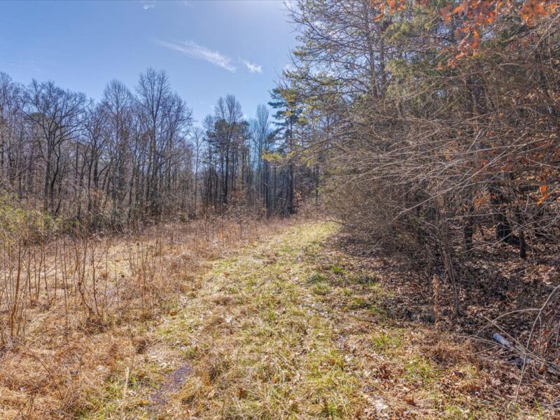 SOLD: Beautiful 34.5 Acres in Walland with Creek Access