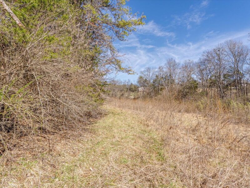 SOLD: Beautiful 34.5 Acres in Walland with Creek Access