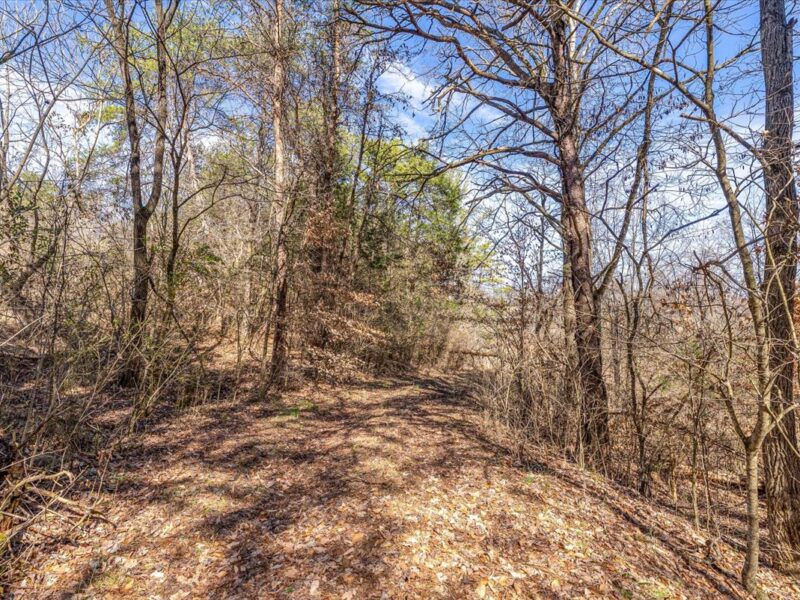 SOLD: Beautiful 34.5 Acres in Walland with Creek Access
