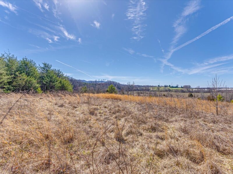 SOLD: Beautiful 34.5 Acres in Walland with Creek Access