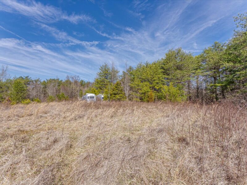 SOLD: Beautiful 34.5 Acres in Walland with Creek Access
