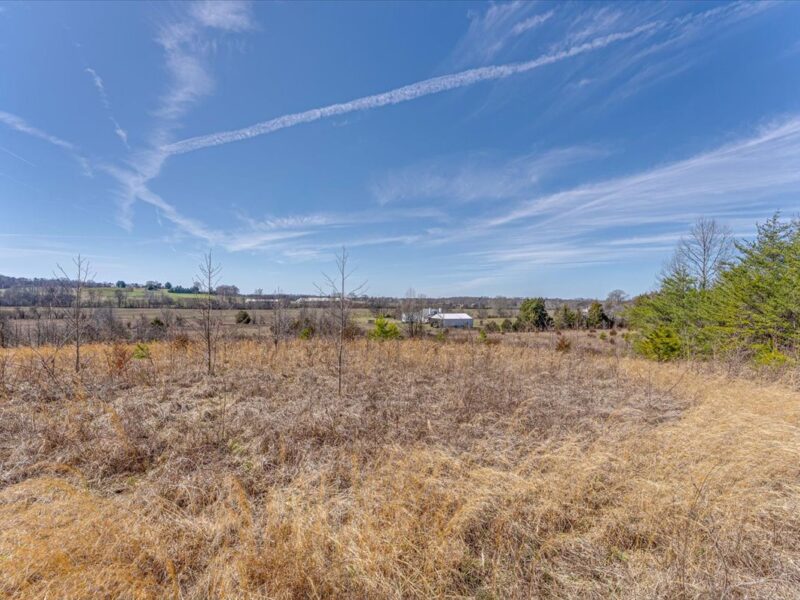 SOLD: Beautiful 34.5 Acres in Walland with Creek Access