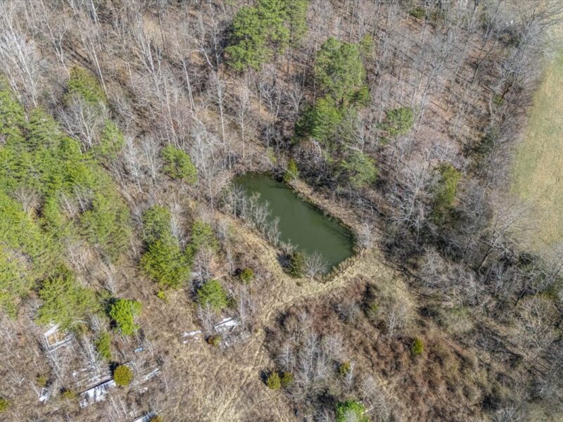 SOLD: Beautiful 34.5 Acres in Walland with Creek Access