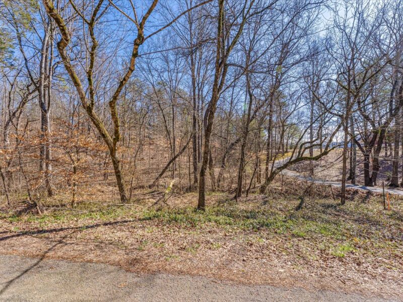 SOLD: Gorgeous 8.6 Acres for Custom Home in Walland