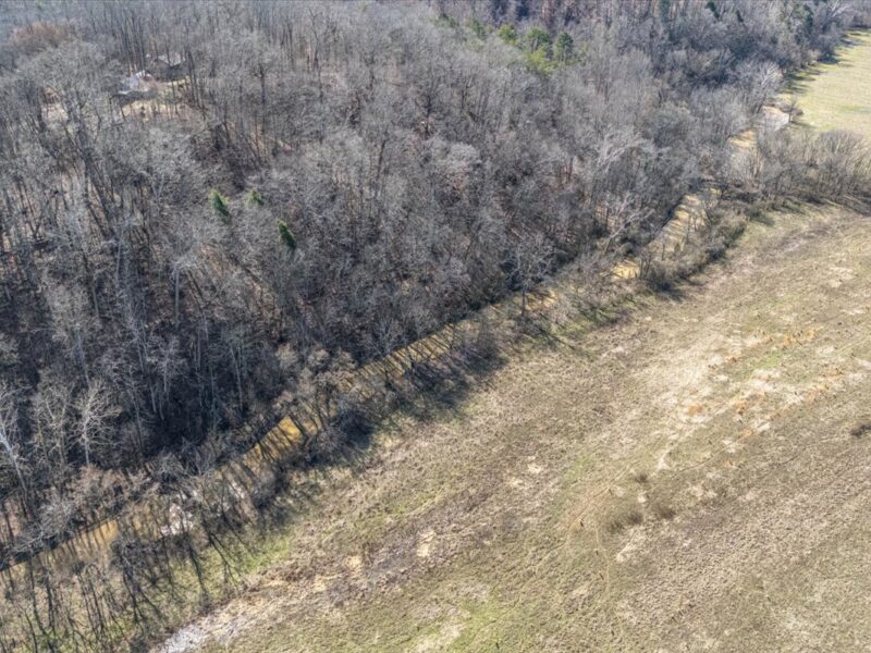 SOLD: Beautiful 34.5 Acres in Walland with Creek Access