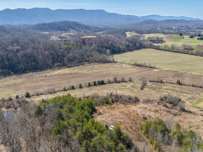 SOLD: Beautiful 34.5 Acres in Walland with Creek Access