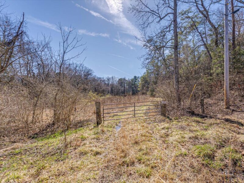 SOLD: Beautiful 34.5 Acres in Walland with Creek Access